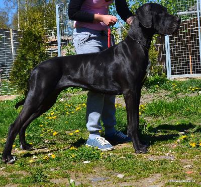 Cinderella Of Love Generation