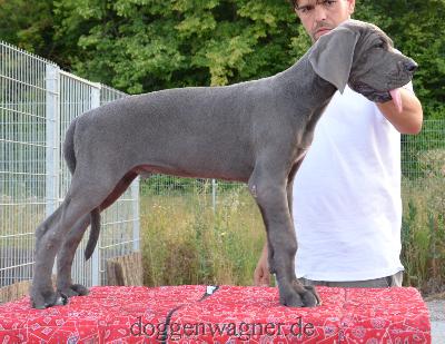 MONSIEUR SANCERRE Vom Hause Wagner