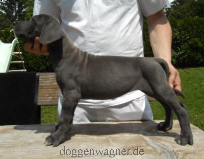 MADAME DU BARRY Vom Hause Wagner