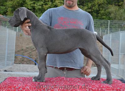 MADAME DU BARRY Vom Hause Wagner