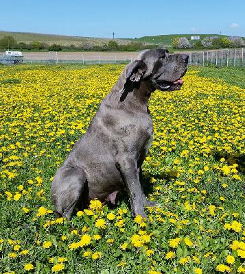 MADAME BOVARY Vom Hause Wagner