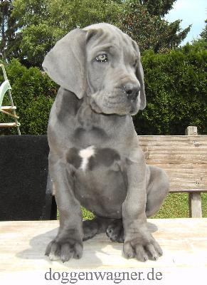 MADAME TUSSAUDS Vom Hause Wagner