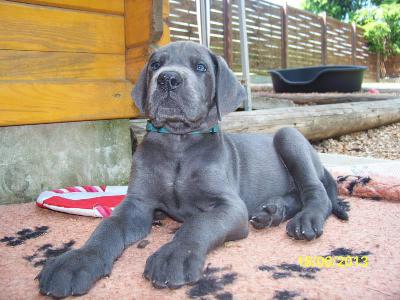 Kaiser Karl Vom Edersee