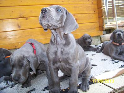 Kassandra Vom Edersee