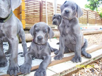 Kassiopeia Vom Edersee