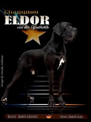 Ch Eldor von der Ofnethöhle