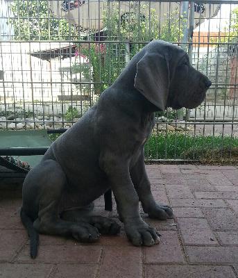 Toffifee Von Blue Ground