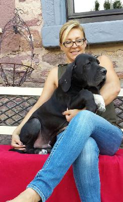 Insider Von Schlesien