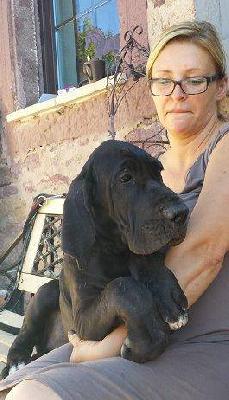 Johann Von Schlesien