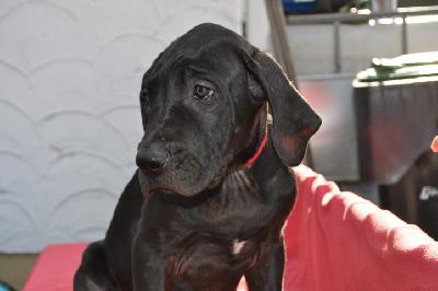 Beathe Vom K�terberg