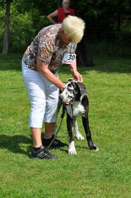 Ch Sissi vom Hause Rawert