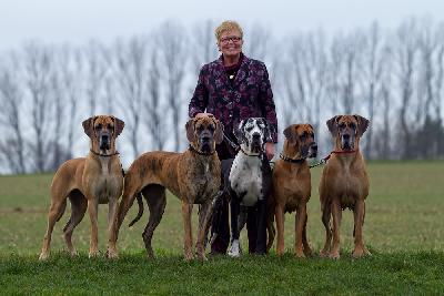 Ch Sissi vom Hause Rawert