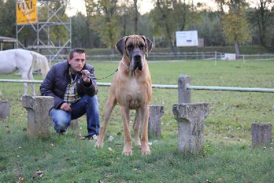 Ch Moon vom Hause Rawert