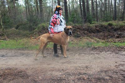 Ch Moon vom Hause Rawert