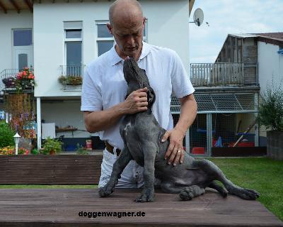 Professor Hartung Vom Hause Wagner