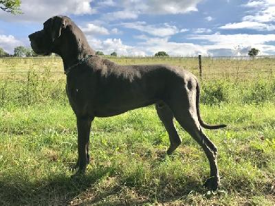 Heros Von Den Elf Quellen