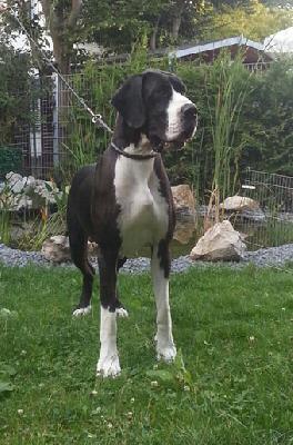 Princess Kate v.d.p. Altenburger