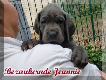 Bezaubernde Jeannie Von Blue Ebony