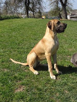 Ilvy Vom Hause Kaufmann