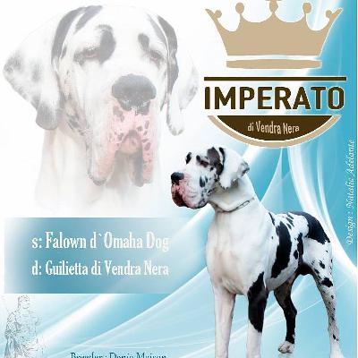 Imperato di Vendra Nera