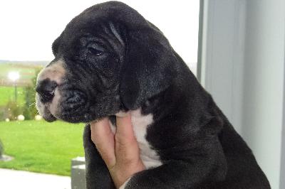 Isabell von der Ofneth�hle