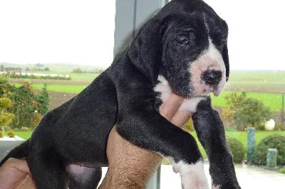 Isodora von der Ofneth�hle