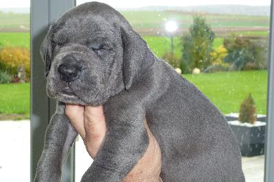 Janda von der Ofneth�hle