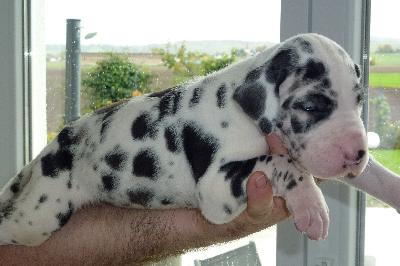 Lex von der Ofneth�hle