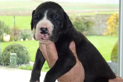 HOKU2013092903 von der Ofneth�hle