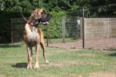 Venja vom Hause Rawert