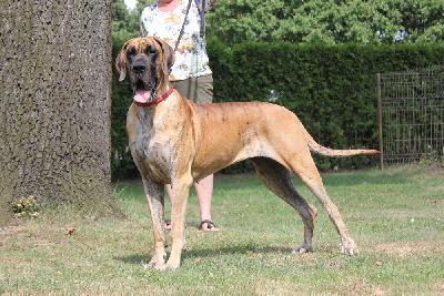 Venja vom Hause Rawert