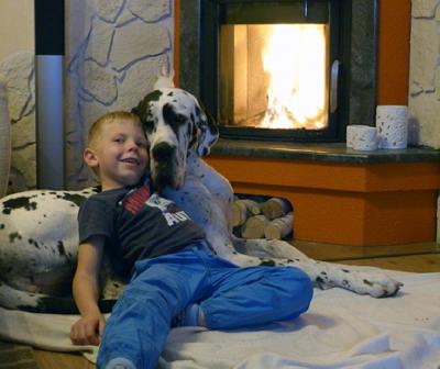 Ch Andra Vom Ganschower Land