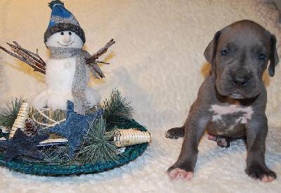 Arnold vom Ysenburger Bergland