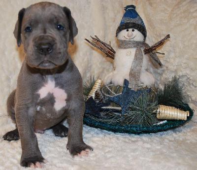 Anton vom Ysenburger Bergland