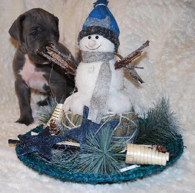 Alfons vom Ysenburger Bergland