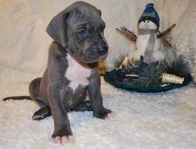 Augustus vom Ysenburger Bergland