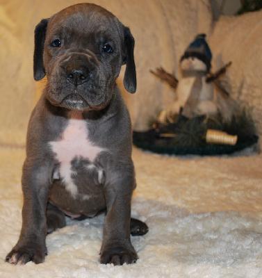 Adelheid vom Ysenburger Bergland