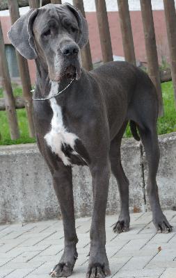 Adelheid vom Ysenburger Bergland