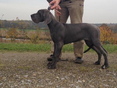 Valentina vom Herstallturm