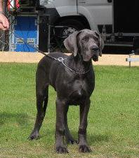 Hotzenplotz von der Wolfsh�hle