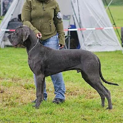 Azrael vom R�uberbaron