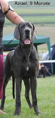 Azrael vom Ruberbaron