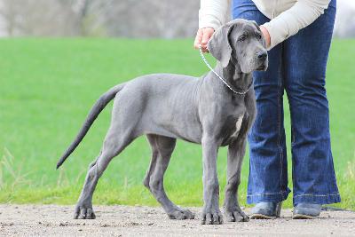 Ally vom R�uberbaron