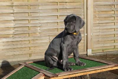 Annelie vom R�uberbaron