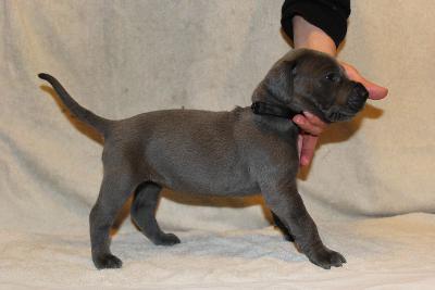 Ana Gemma vom R�uberbaron