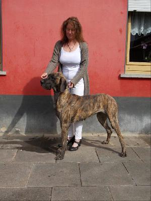 Jassy Belle vom Moorgarten