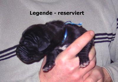 Legende Vom Waldfrieden