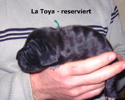 La Toya Vom Waldfrieden