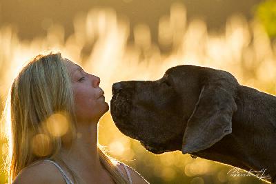 Abendroete vom Altmuehlerhof