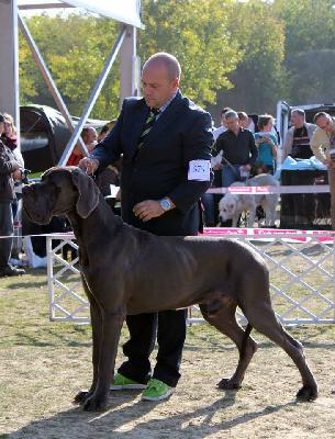 Ch Don Giovanni della Baia Azzurra